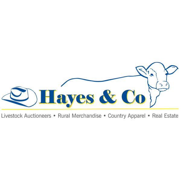 Hayes & Co logo
