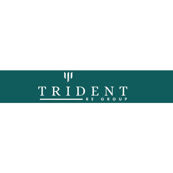 Trident RE Group logo