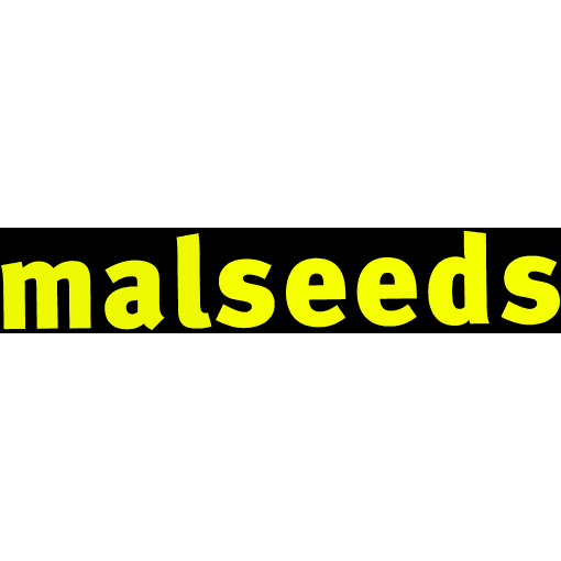 Malseeds Real Estate - MOUNT GAMBIER logo
