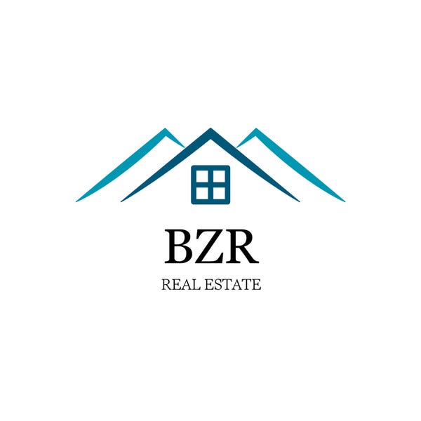 BZR REAL ESTATE logo