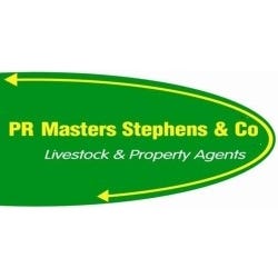 Masters Stephens Real Estate logo
