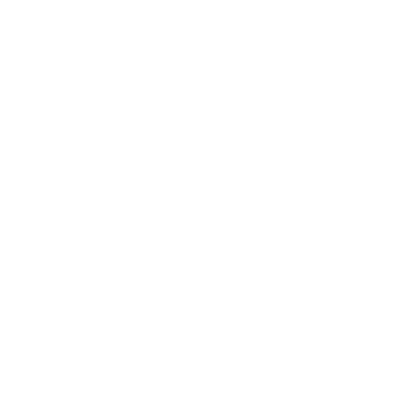 Brisbane Estate Agents and Auctioneers - ASHGROVE logo