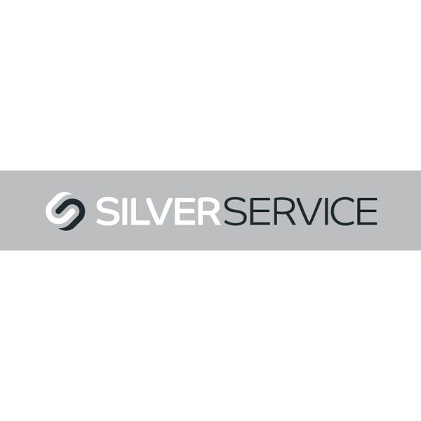 Silver Service Real Estate Pty Ltd - - logo