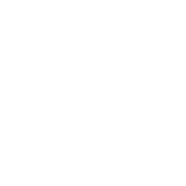 SKYCITY REALTY logo