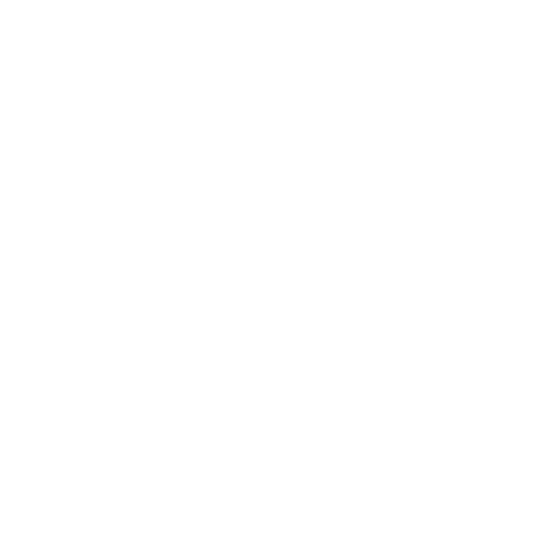 Place Projects Pty Ltd - Residential logo