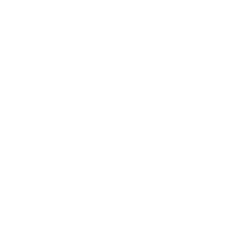 SET Realty QLD logo