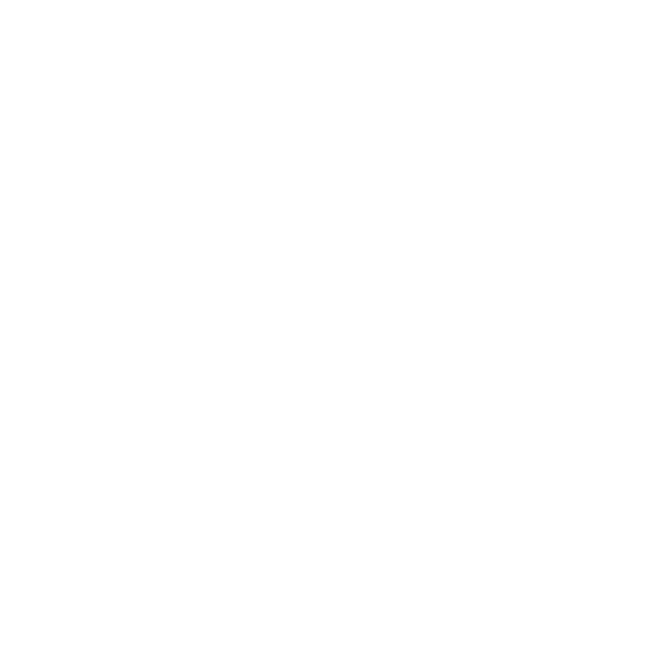 The Investment Focus Real Estate - SOUTHPORT logo