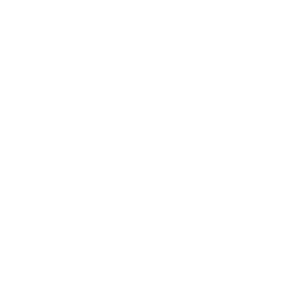 Sleiman Real Estate logo