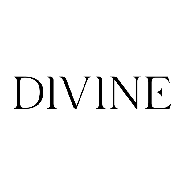 Divine Property Partners logo