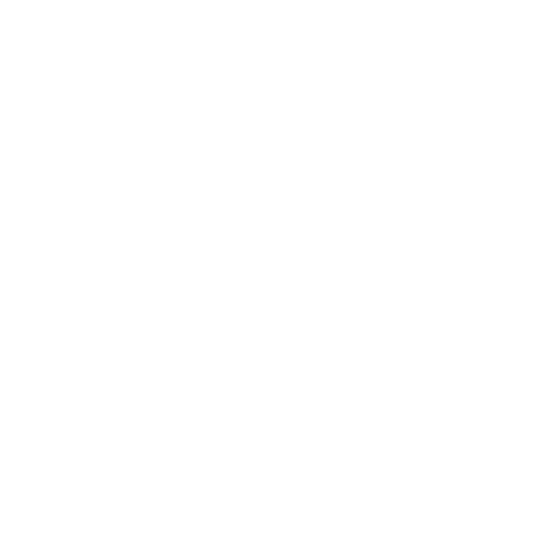 The Property Investment Alliance - Mascot logo