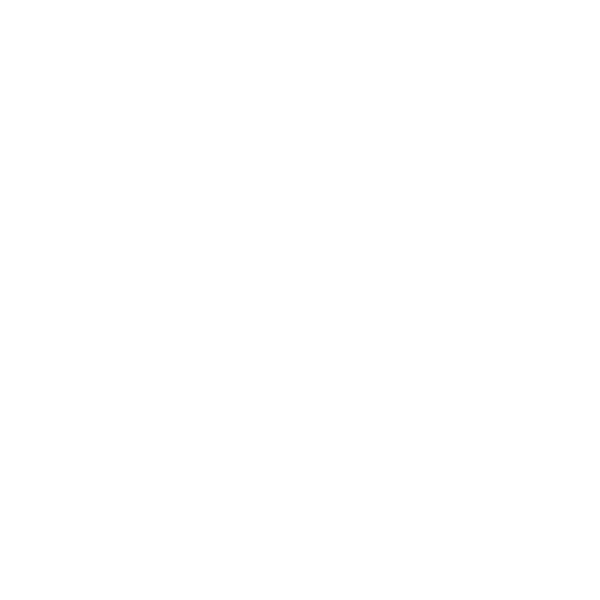 First National Real Estate Collective - Narellan logo