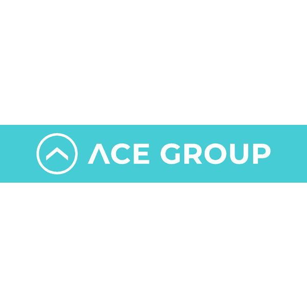 Ace Group Real Estate - Wetherill Park logo