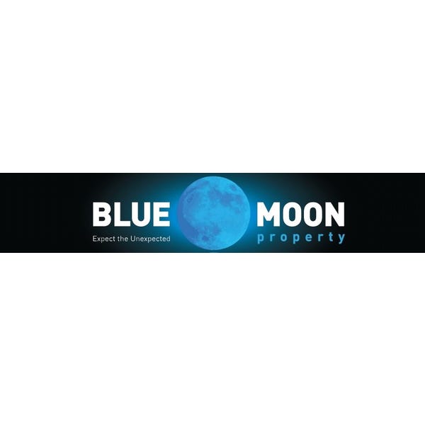 Blue Moon Property - North Lakes logo
