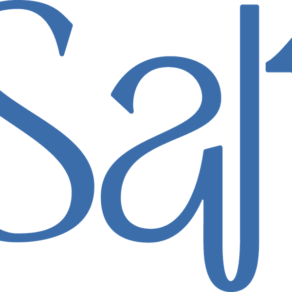 Salt Property Real Estate - PALM BEACH logo