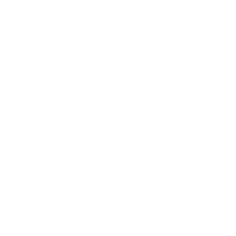 Stone Real Estate - South Hurstville logo