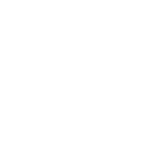 Tristen Scott - Brisbane logo