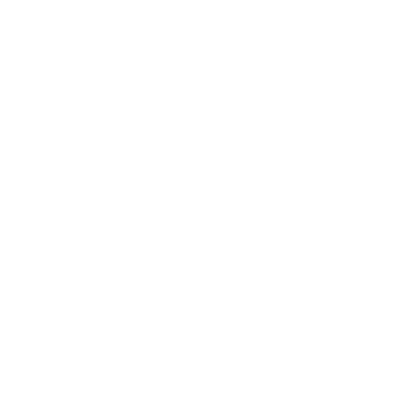 Prime Estate Agency logo
