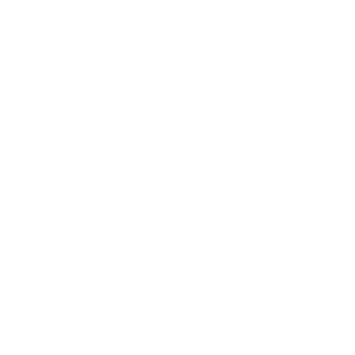 Pinnacle Properties Queensland logo