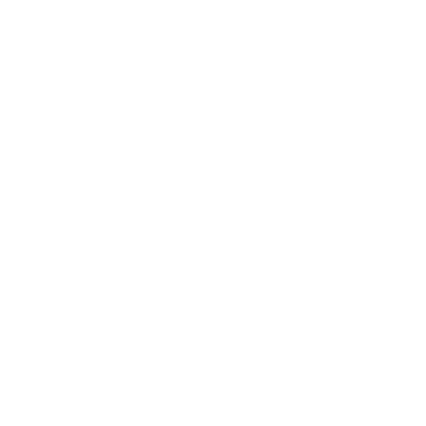 Connect Realty - New Farm logo
