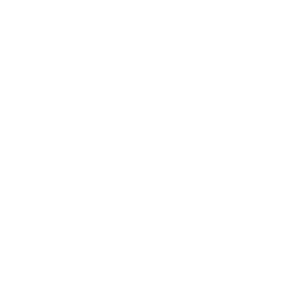Countryside Realty - Noosa logo