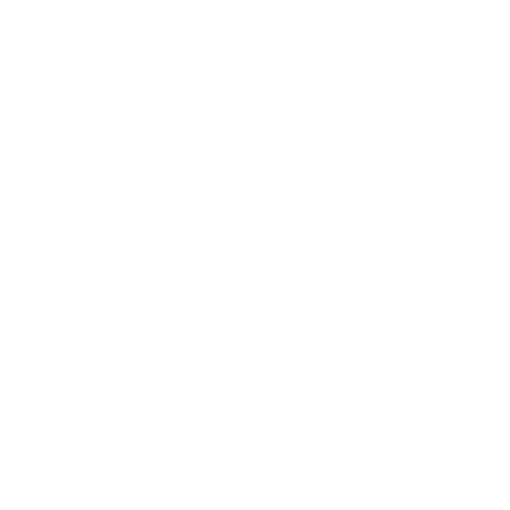 Amir Prestige Group logo