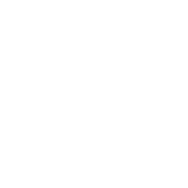 Wolf Property Launceston logo