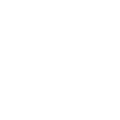 Amir Prestige Group - BYRON BAY logo