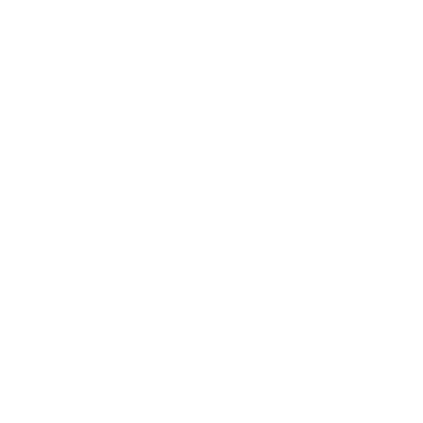 North South Real Estate - North South Prestige logo