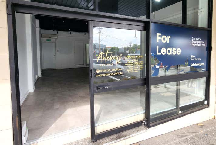 336 Homer Street Earlwood NSW 2206 - Image 4