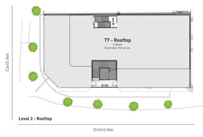 4 Orchid Avenue Surfers Paradise QLD 4217 - Image 12