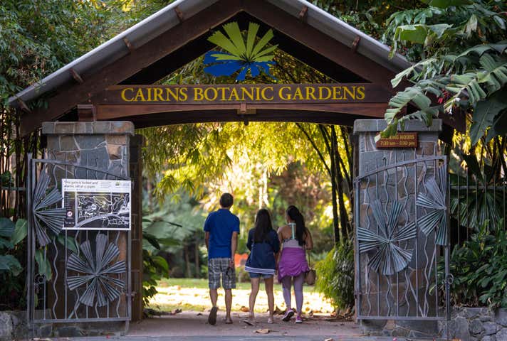 120 Collins Avenue Edge Hill QLD 4870 - Image 17