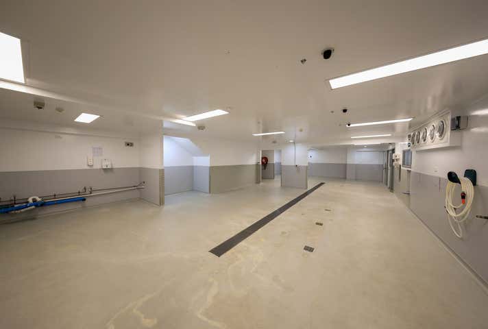 59 Dutton Street Portsmith QLD 4870 - Image 17