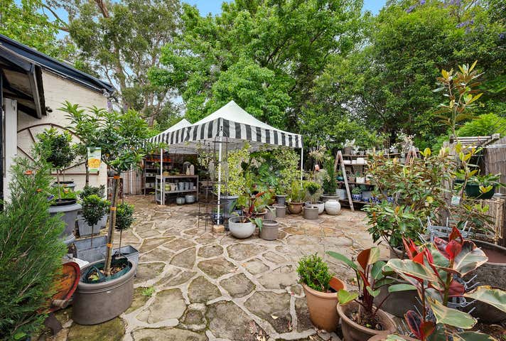 39 Alexandra Street Hunters Hill NSW 2110 - Image 8