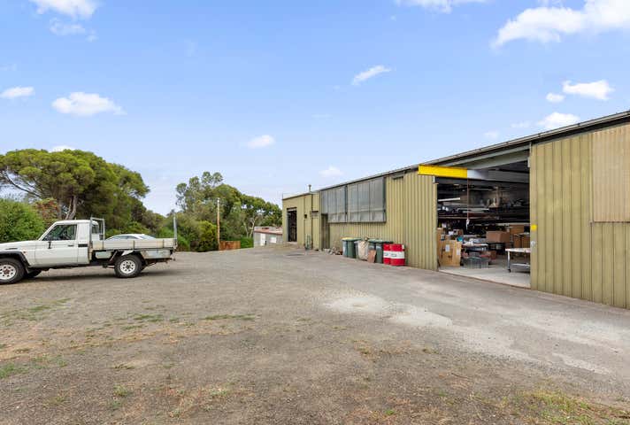 36 Boswell Avenue Newtown VIC 3220 - Image 5