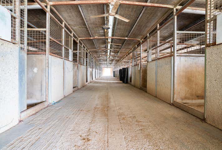 46 Racecourse Road Thurgoona NSW 2640 - Image 6