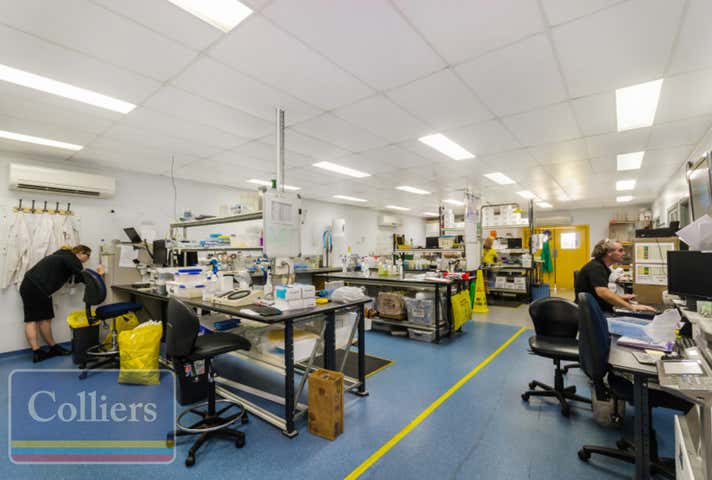 17 Hamill Street Garbutt QLD 4814 - Image 7