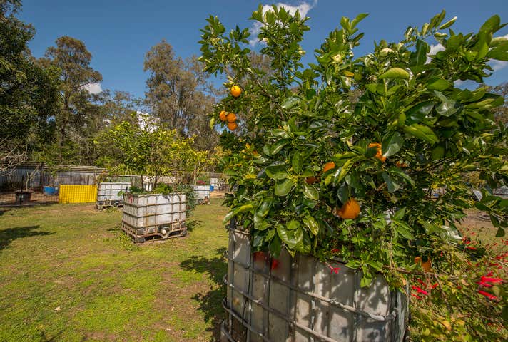 22 Fairneyview Fernvale Road Fernvale QLD 4306 - Image 28