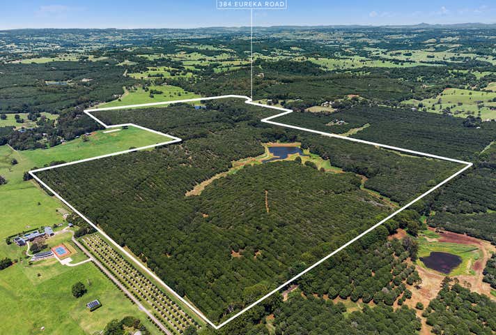 Paradise, 384 Eureka Road Eureka NSW 2480 - Image 3