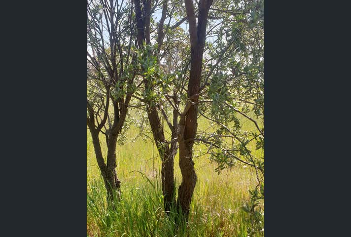 38 Avoca Road Morbinning WA 6304 - Image 11