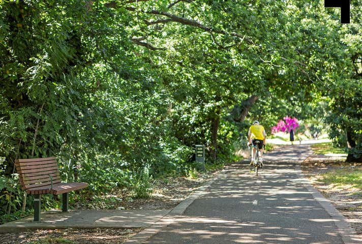 50-52 Whitehorse Road Balwyn VIC 3103 - Image 9