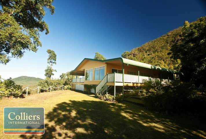 Former "Casual Cassowary Devonshire Tea House", *, 51531 Bruce Highway Rungoo QLD 4849 - Image 5