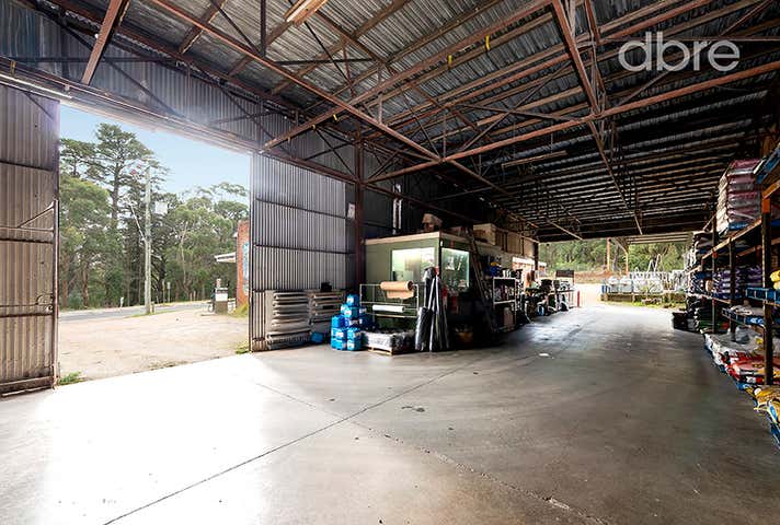 169 Shoreham Road Red Hill South VIC 3937 - Image 8