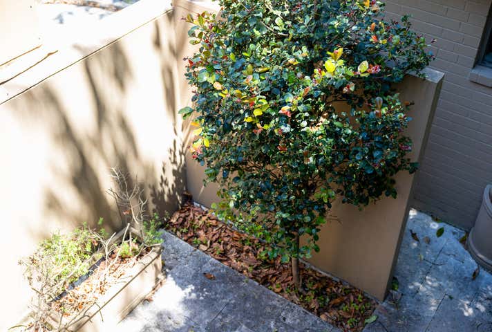 95 Paddington Street Paddington NSW 2021 - Image 25