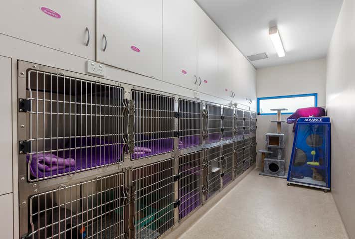 208 High Street Belmont VIC 3216 - Image 13