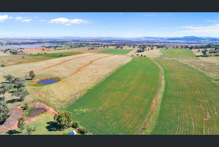 1148 Manilla Road Hallsville NSW 2340 - Image 14