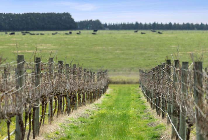 880 Winchelsea-Deans Marsh Road Winchelsea South VIC 3241 - Image 9