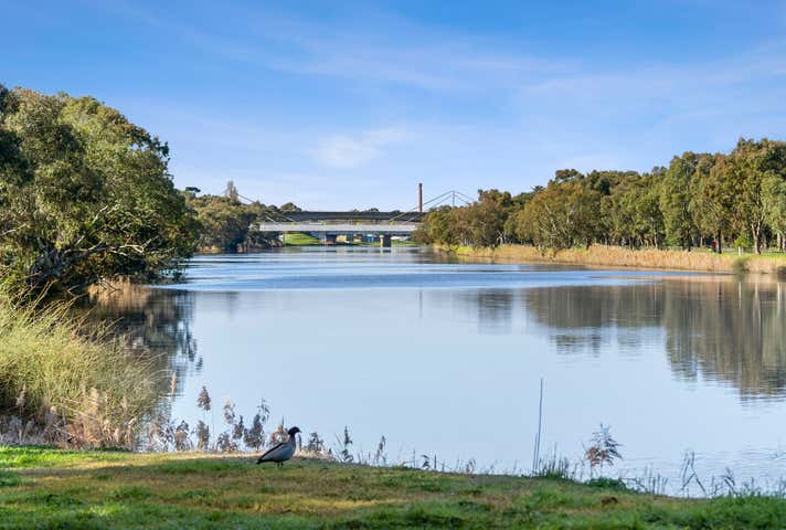 14a Riversdale Road Newtown VIC 3220 - Image 9