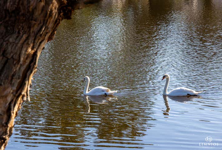 47 Wellington Street East Northam WA 6401 - Image 32