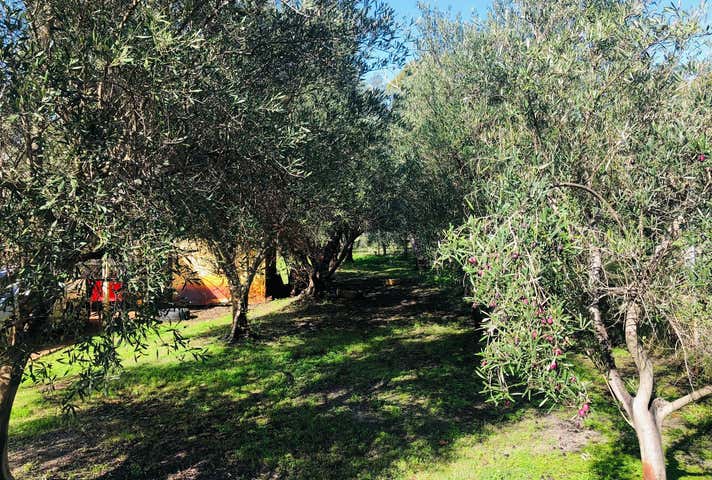 1/10581 West Swan Road Henley Brook WA 6055 - Image 19