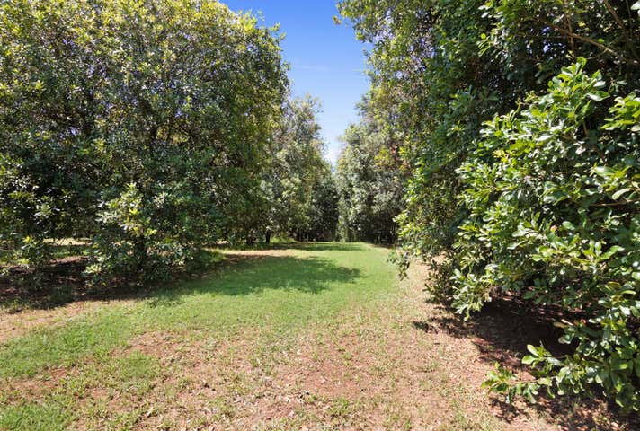 Paradise, 384 Eureka Road Eureka NSW 2480 - Image 15